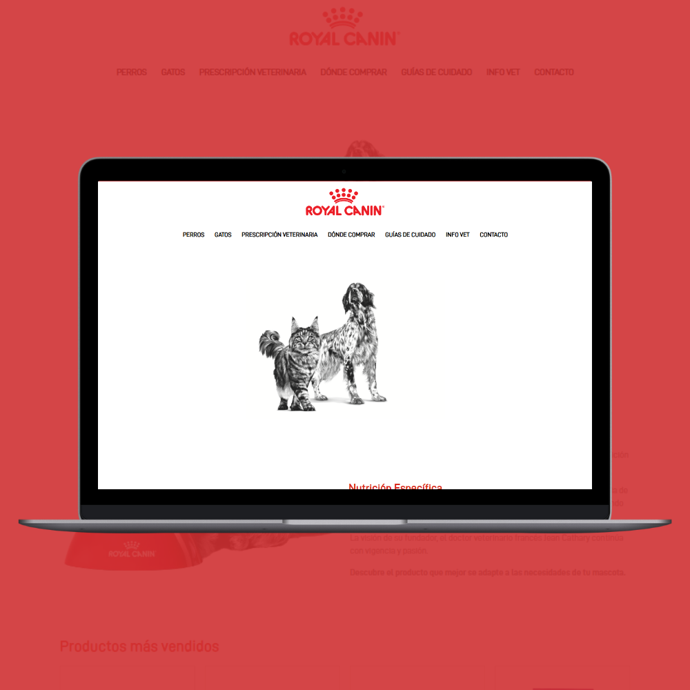 royalcanin.com .uy