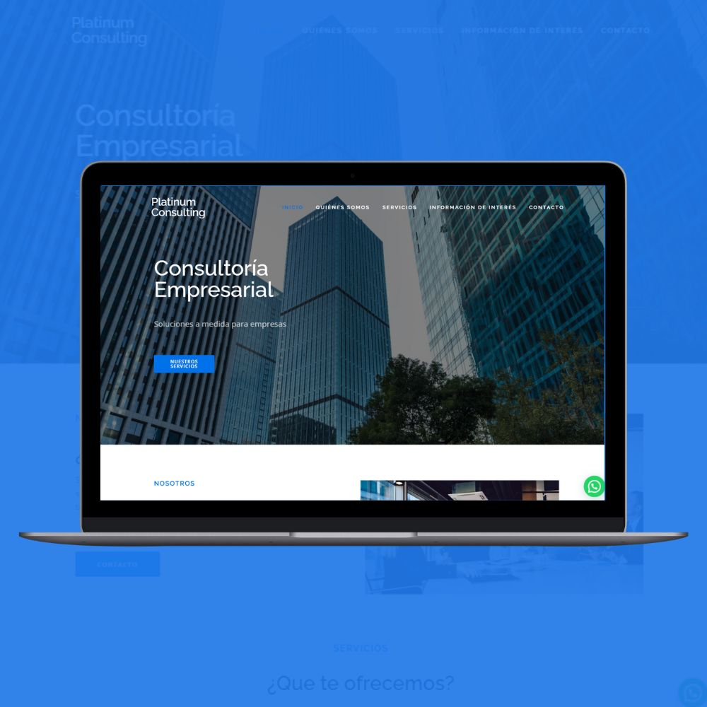 platinumconsulting.uy