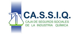 cassiq logo