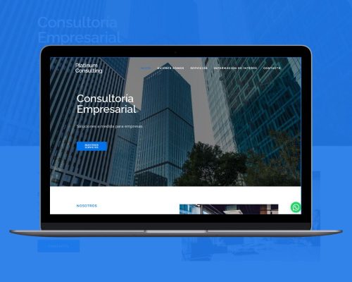 platinumconsulting.uy